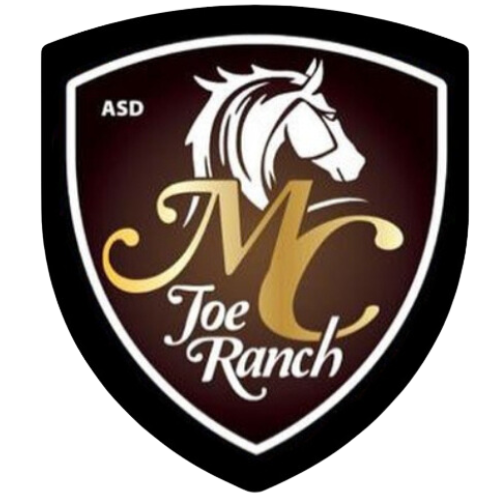 mcjoeranch.com